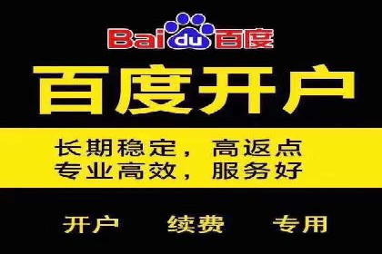 深度解析：百度推广的营销效果案例